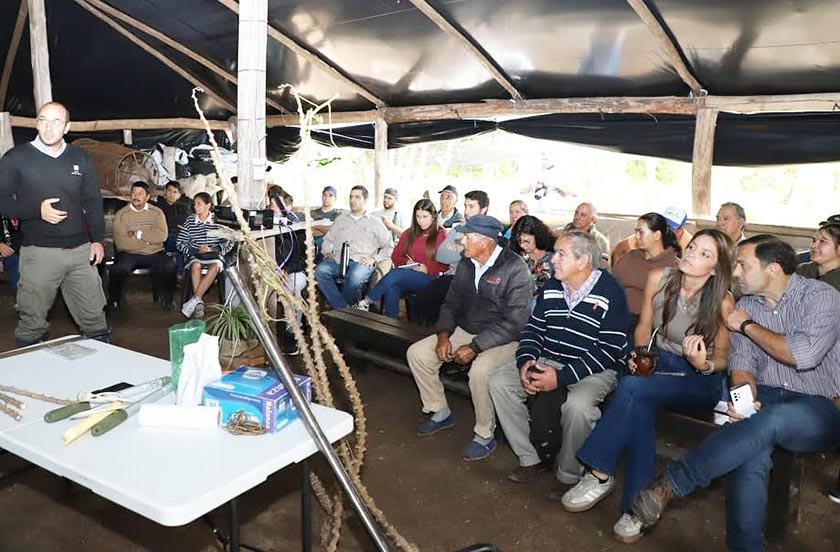 Realizaron una jornada de especialización sobre cultivo de mandioca