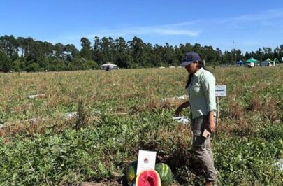 Acompañaron jornada del INTA sobre sandías