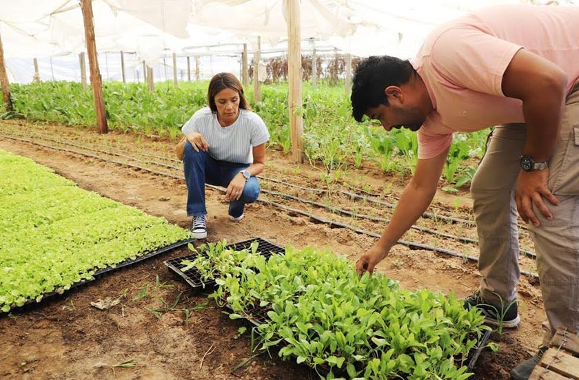 La intendente Bazzi visitó a un beneficiario del programa Impulso Rural