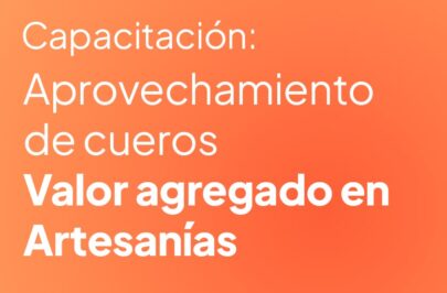 Capacitación sobre aprovechamiento de cueros y valor agregado en artesanías